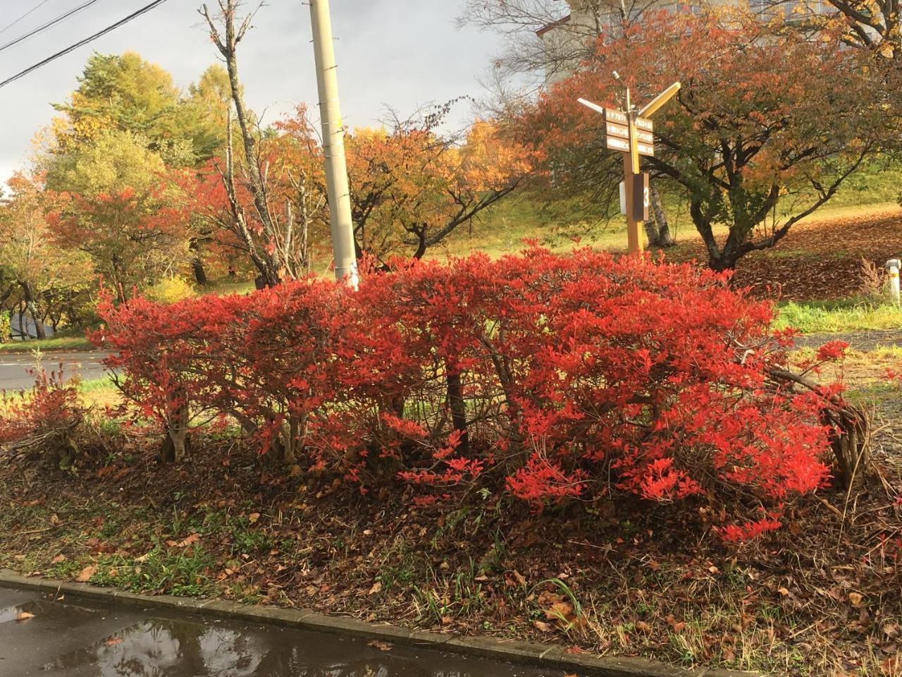 温泉ゲストハウス やすもり 八幡平市 エクステリア 写真