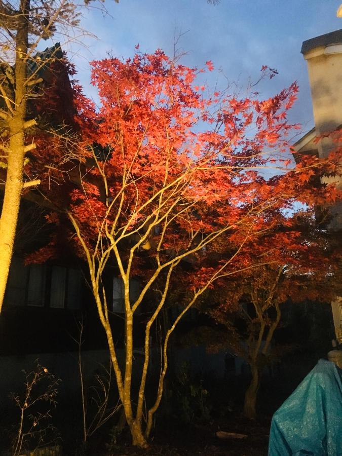 温泉ゲストハウス やすもり 八幡平市 エクステリア 写真